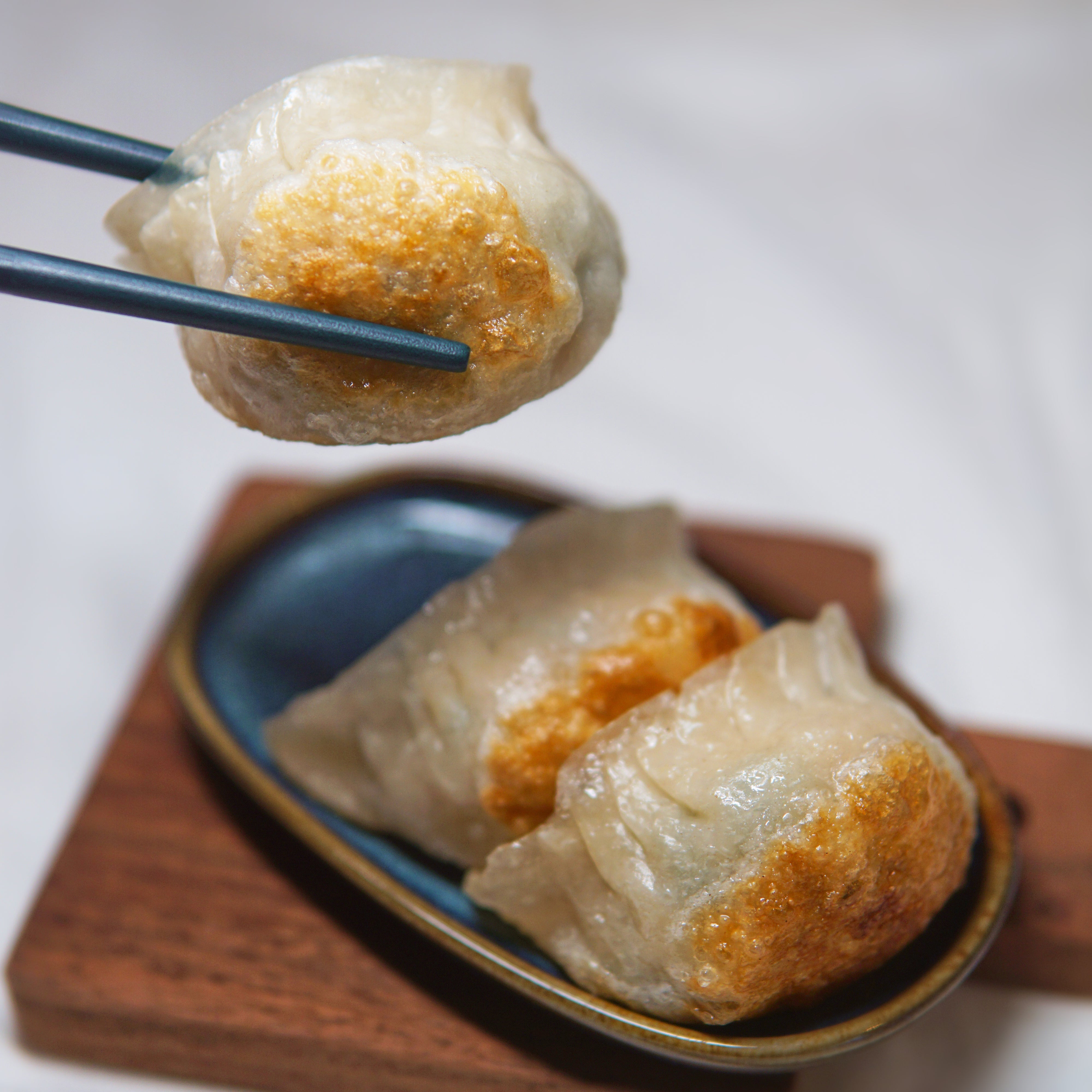 Shanghai Pan-Fried Chicken Dumpling 上海鸡肉煎饺 (8 Pcs)