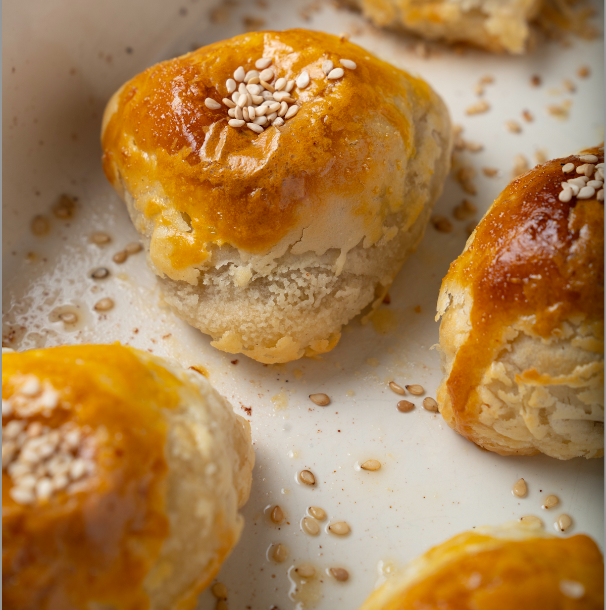Venison Puff